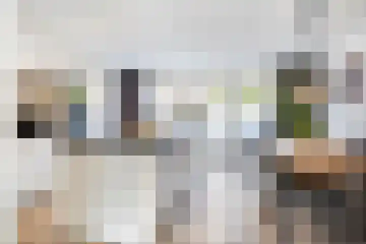 Schutsboom 20 Escharen thumbnail 7