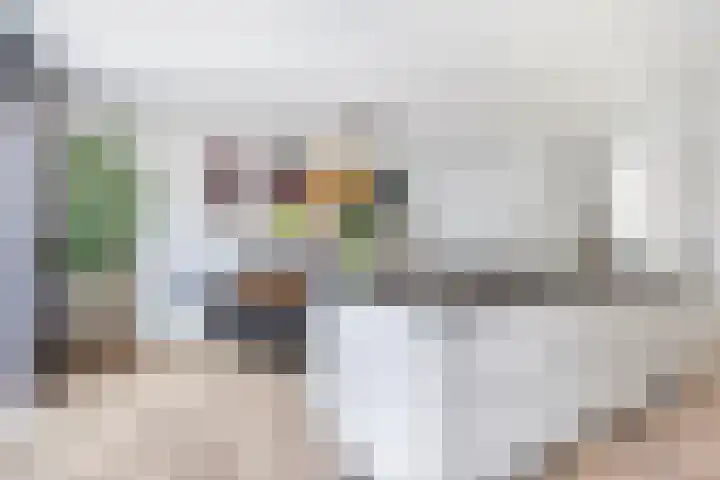 Schutsboom 20 Escharen thumbnail 9