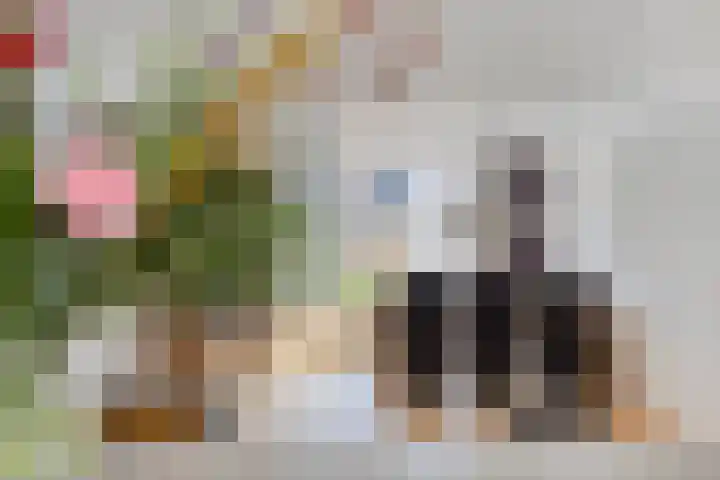 Schutsboom 21 Bergeijk thumbnail 10
