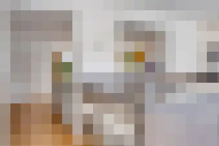 Schutsboom 21 Bergeijk thumbnail 12