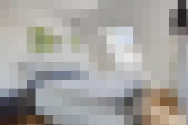 Schutsboom 21 Bergeijk thumbnail 14