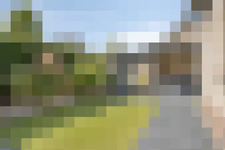 Schutsboom 21 Bergeijk thumbnail 22