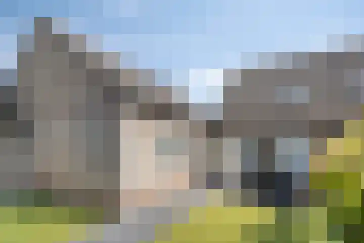 Schutsboom 21 Bergeijk thumbnail 25