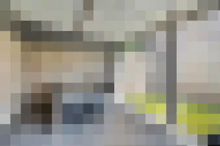Schutsboom 21 Bergeijk thumbnail 26