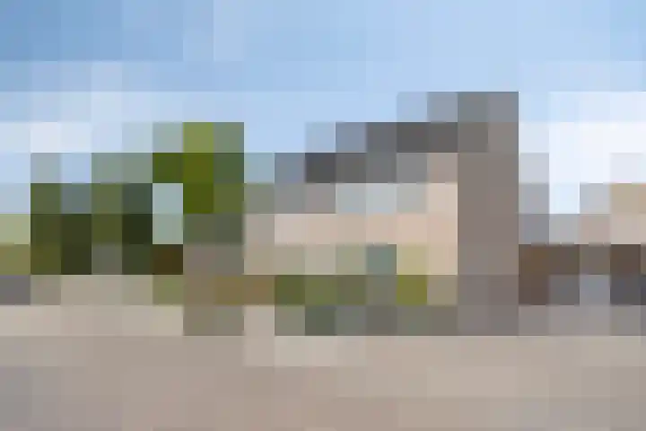 Schutsboom 21 Bergeijk thumbnail 28