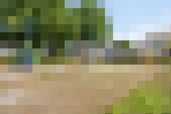 Schutsboom 21 Bergeijk thumbnail 29