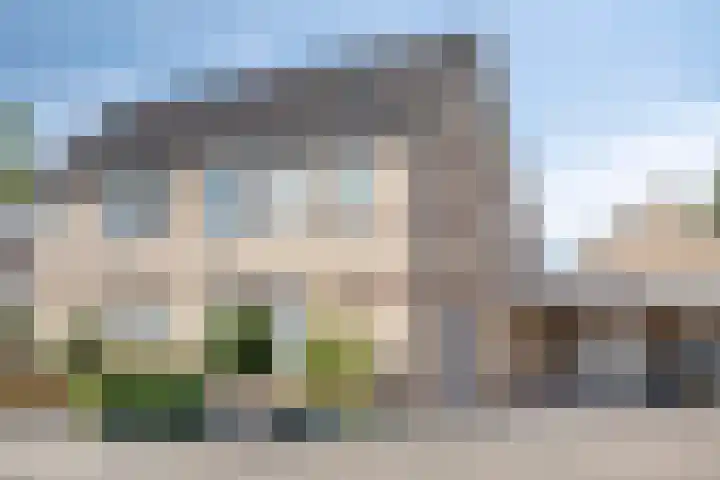 Schutsboom 21 Bergeijk thumbnail 35