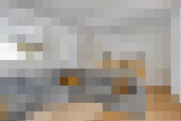Schutsboom 21 Bergeijk thumbnail 5