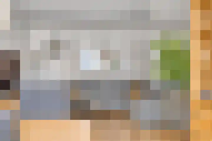 Schutsboom 21 Bergeijk thumbnail 8