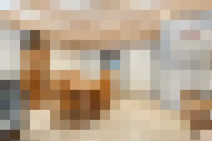 Schutsveld 11 Gemert thumbnail 17