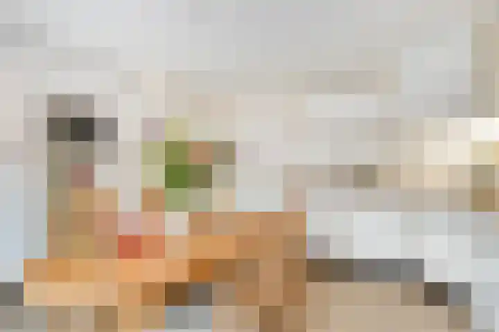 Schutsveld 11 Gemert thumbnail 22