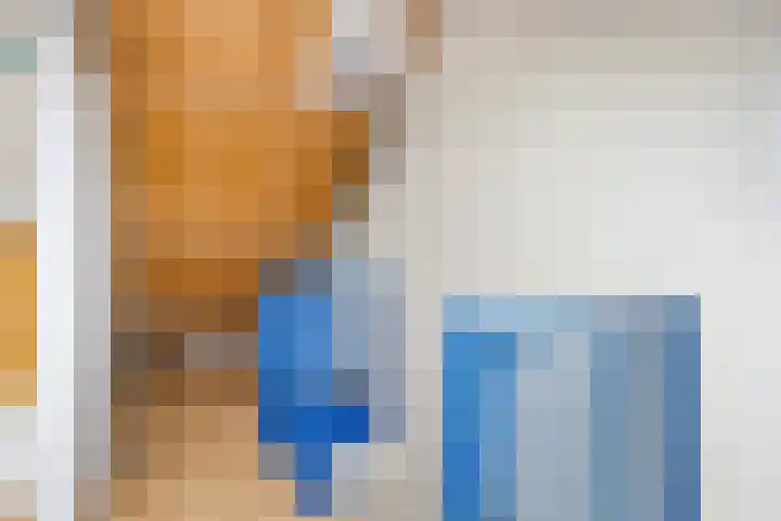 Schutsveld 11 Gemert thumbnail 31