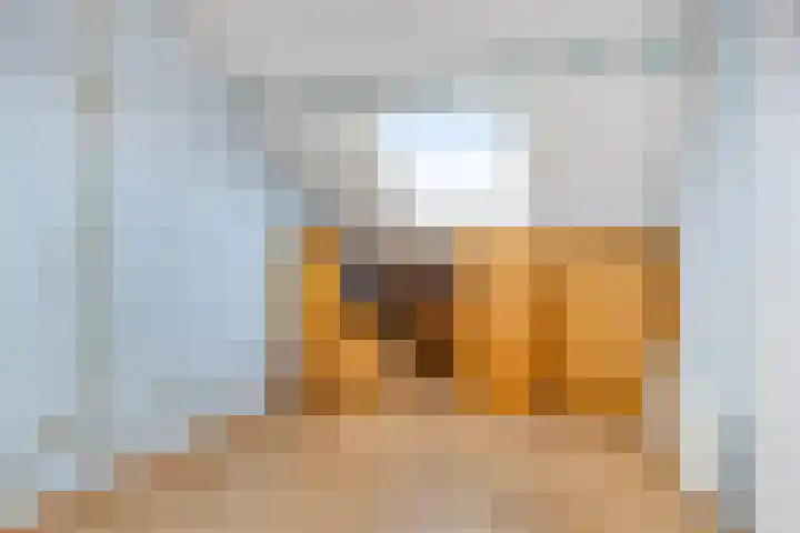 Schutsveld 11 Gemert thumbnail 33