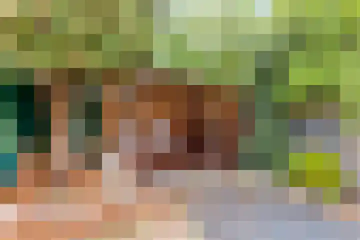 Schutsveld 11 Gemert thumbnail 38