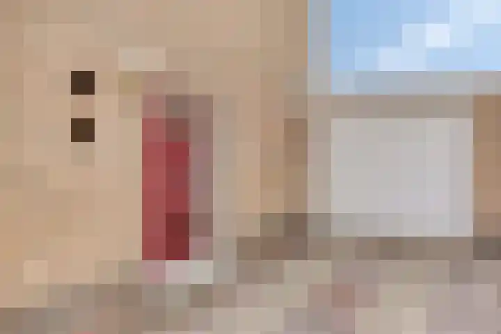 Schutsweg 4 Zuidlaren thumbnail 10