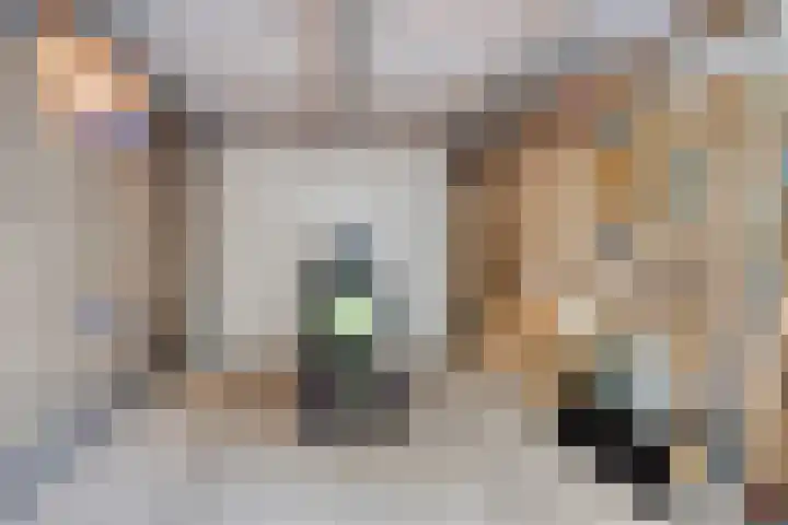 Schutsweg 4 Zuidlaren thumbnail 21