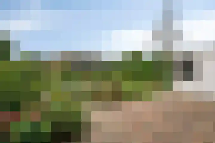 Schutsweg 4 Zuidlaren thumbnail 36