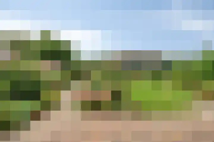 Schutsweg 4 Zuidlaren thumbnail 37