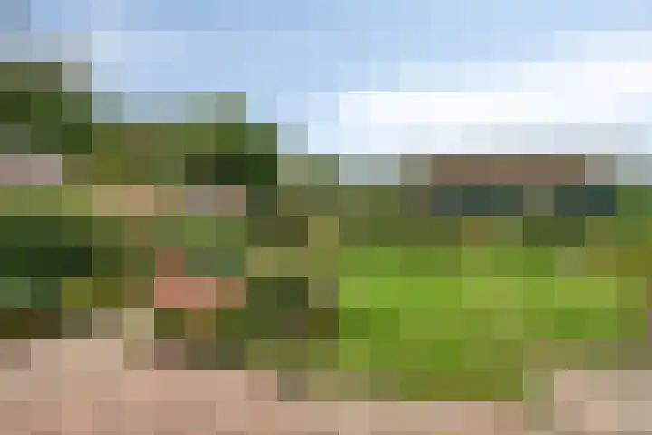 Schutsweg 4 Zuidlaren thumbnail 38