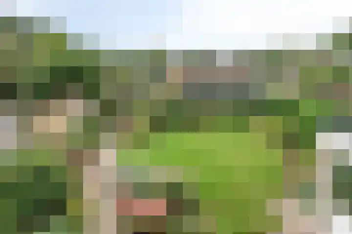 Schutsweg 4 Zuidlaren thumbnail 4
