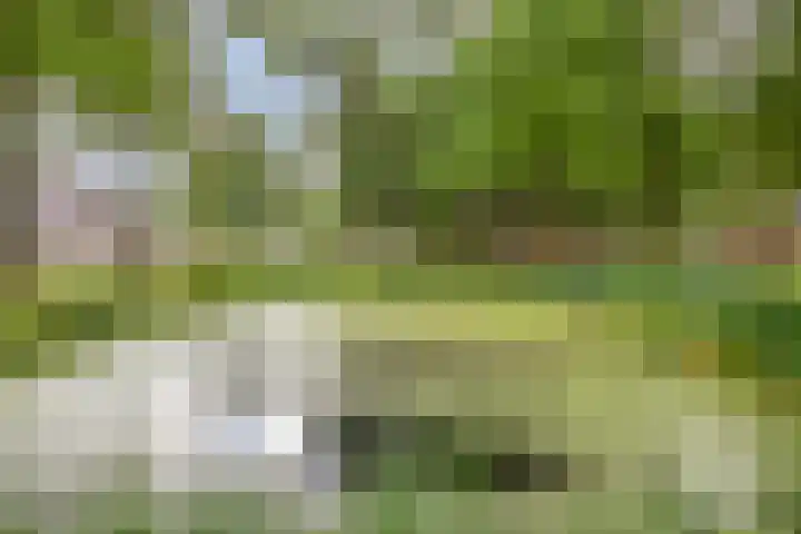 Schutsweg 4 Zuidlaren thumbnail 40
