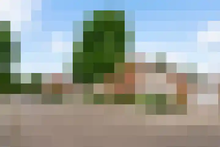 Schuttebeemd 111 Weert thumbnail 6