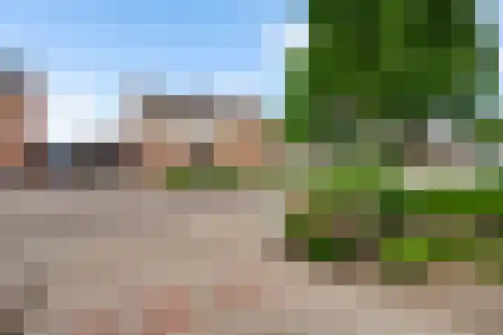Schuttebeemd 111 Weert thumbnail 8