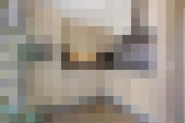 Schutteheide 1 202 Heel thumbnail 6