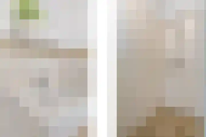 Schutteheide 1 202 Heel thumbnail 7