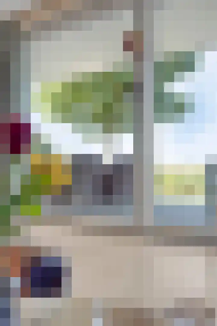Schutteheide 1 284 Heel thumbnail 20