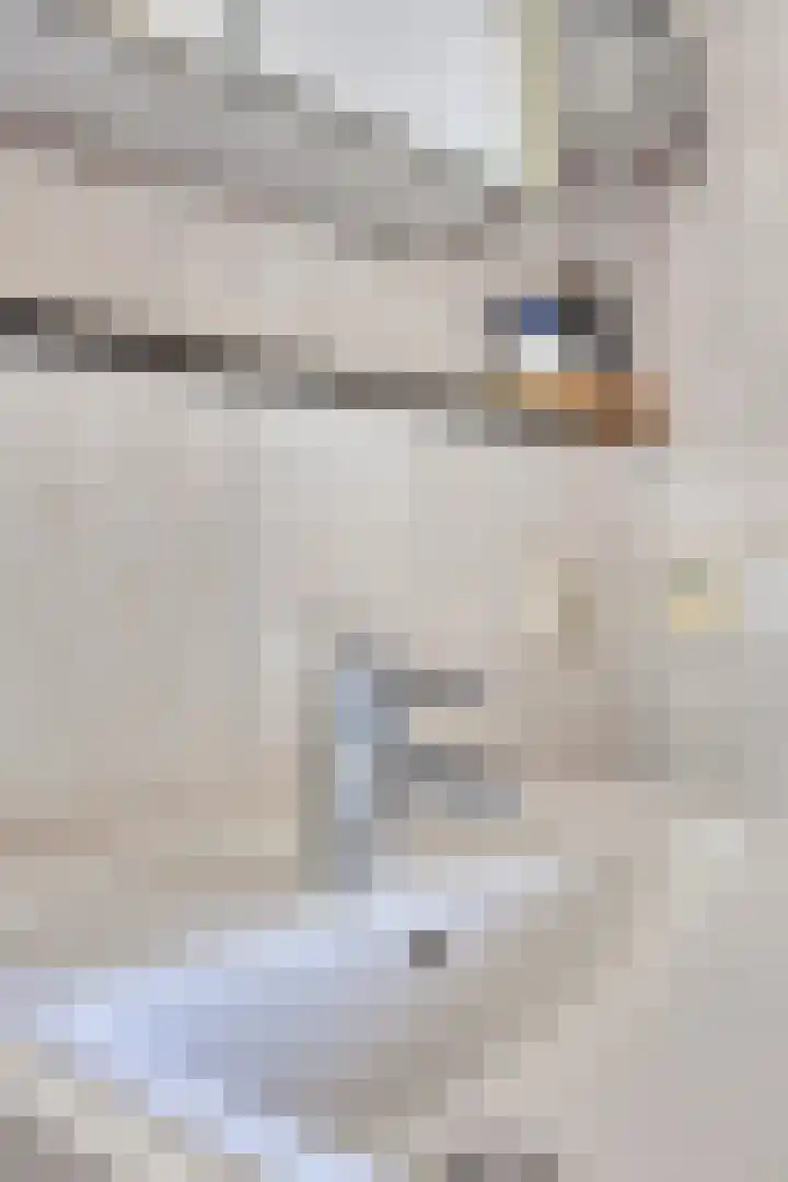 Schutteheide 1 284 Heel thumbnail 25