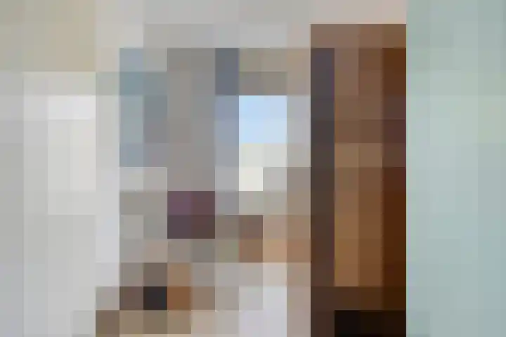 Schutteheide 1 284 Heel thumbnail 28
