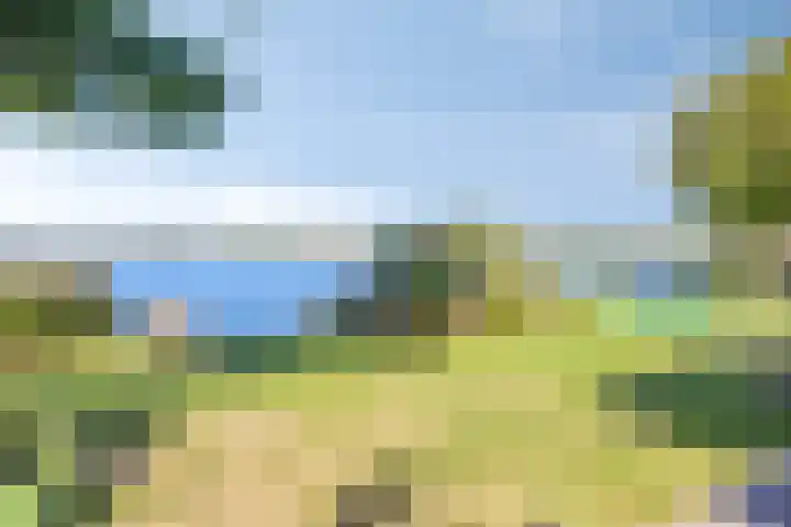 Schutteheide 1 284 Heel thumbnail 36
