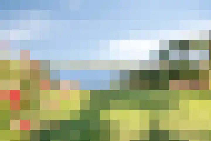 Schutteheide 1 284 Heel thumbnail 37