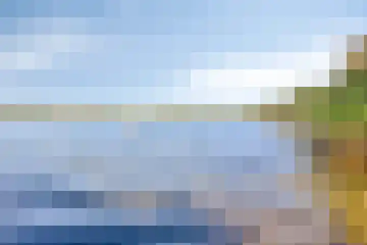 Schutteheide 1 284 Heel thumbnail 43