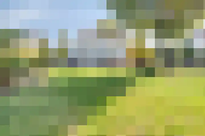 Schutteheide 1 284 Heel thumbnail 44