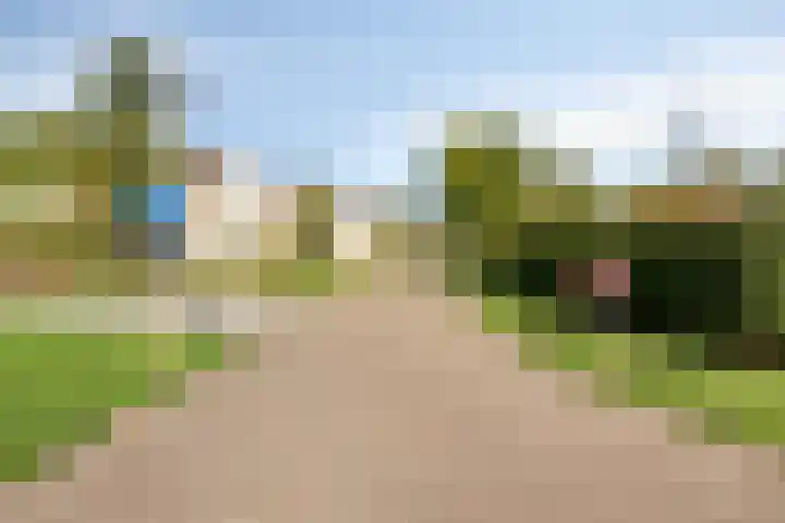 Schutteheide 1 284 Heel thumbnail 50