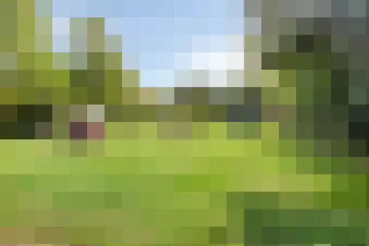 Schutteheide 1 284 Heel thumbnail 51