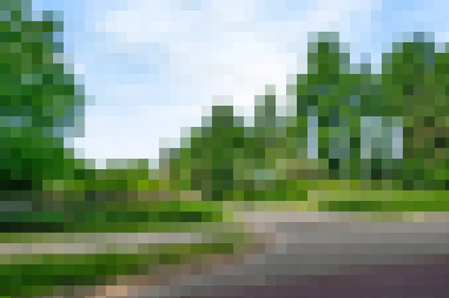 Schutteheide 1 3 Heel thumbnail 31