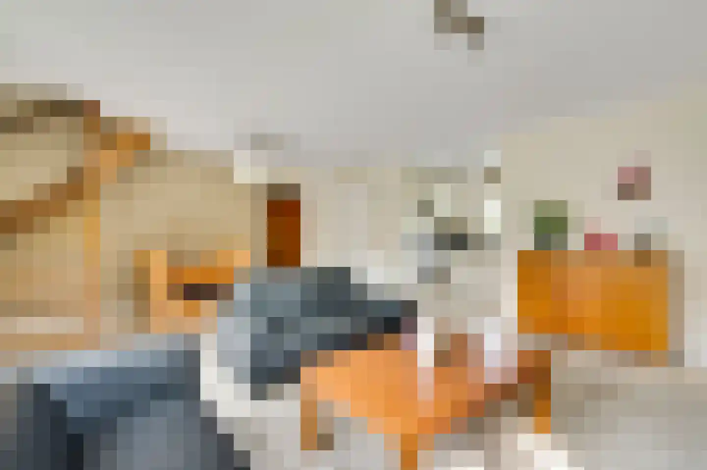 Schutteheide 1 3 Heel thumbnail 6