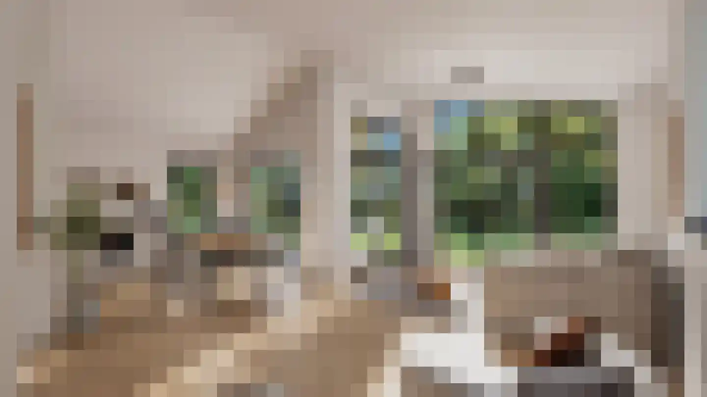 Schutteheide 1 405 Heel thumbnail 7