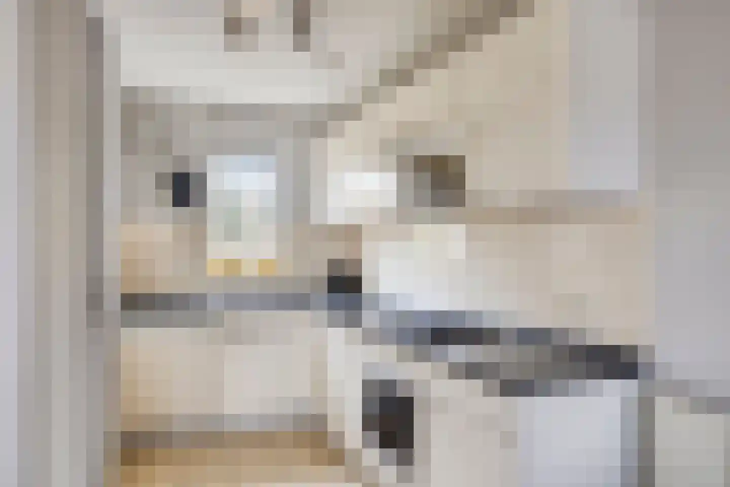 Schutteheide 1 41 Heel thumbnail 15