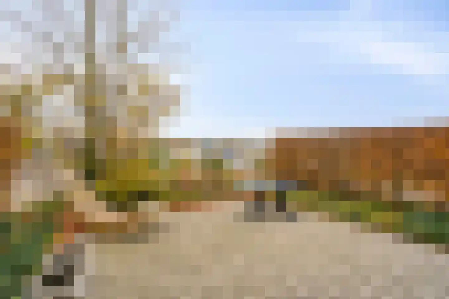 Schutteheide 1 41 Heel thumbnail 31