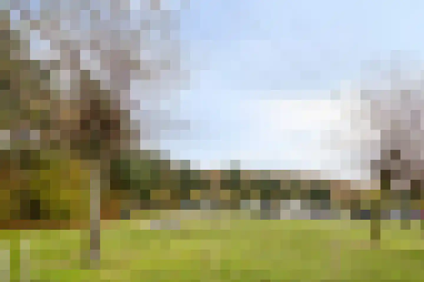 Schutteheide 1 41 Heel thumbnail 40