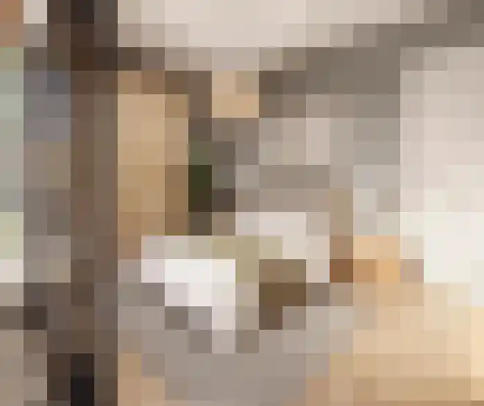 Schutteheide 1 412 Heel thumbnail 10