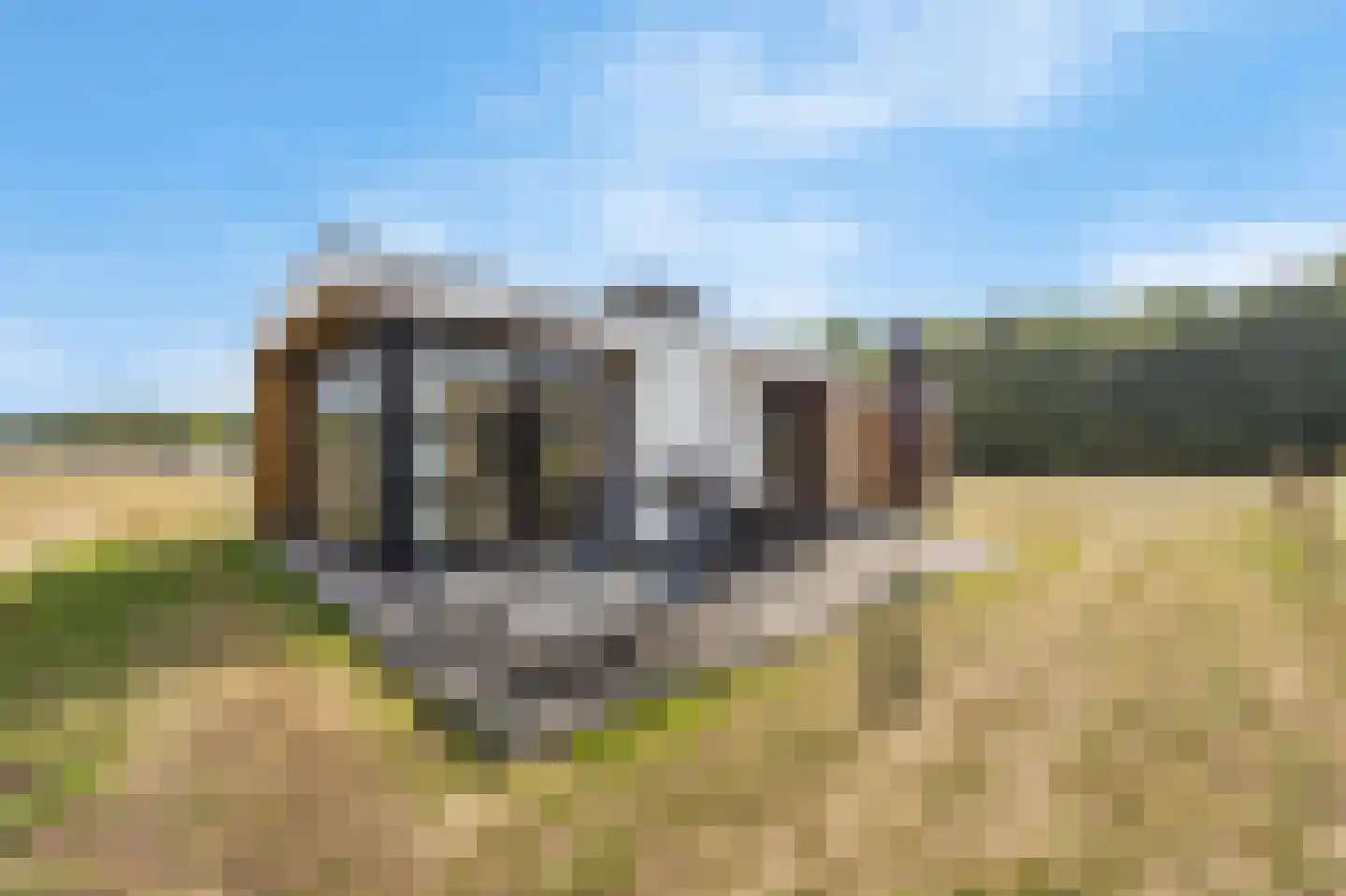 Schutteheide 1 490 in Heel