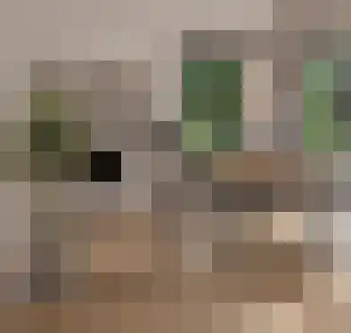 Schutteheide 1 500 Heel thumbnail 10