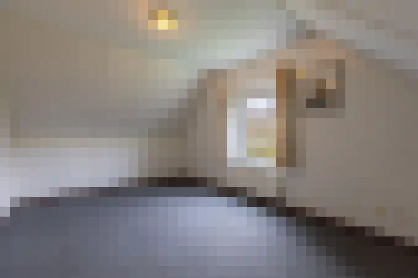 Schutteheide 1 9 Heel thumbnail 18