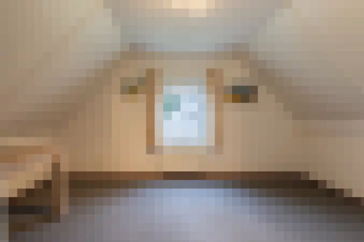 Schutteheide 1 9 Heel thumbnail 20