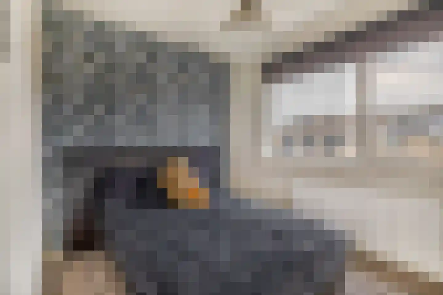 Schuttekampstraat 3 Belfeld thumbnail 13